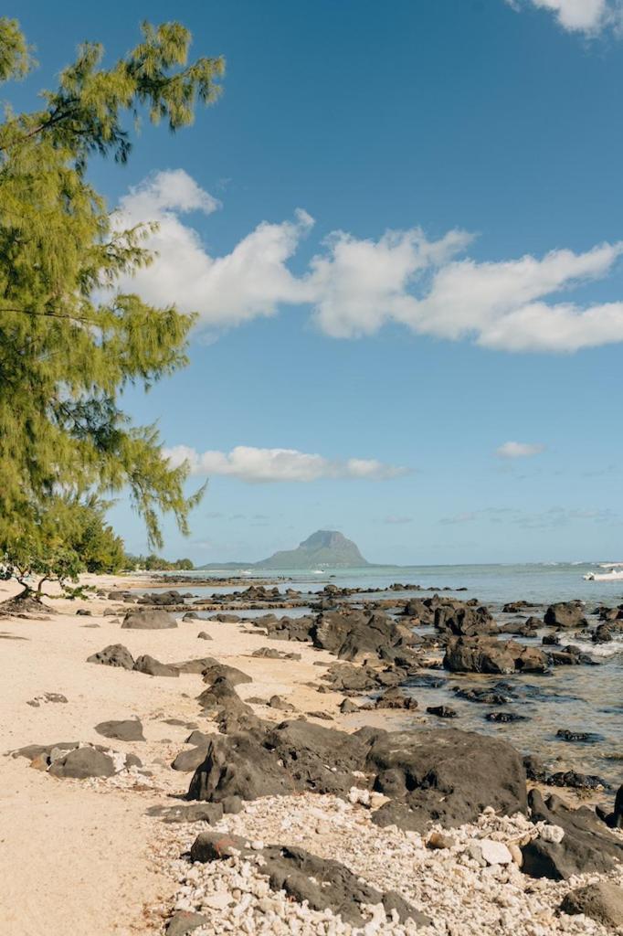 Beach And Mountain - タマラン エクステリア 写真